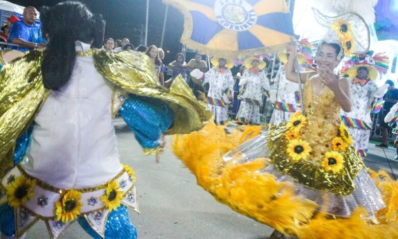 Sambas-enredo das Escolas de Niterói podem ser ouvidos e baixados online – Prefeitura Municipal de Niterói