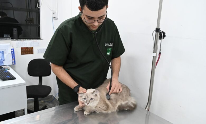 Beneficiários da Moeda Arariboia podem agendar consulta veterinária nesta quinta-feira (03) – Prefeitura Municipal de Niterói