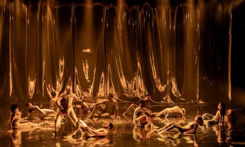 Companhia de Ballet de Niterói lança novo espetáculo no Theatro Municipal – Prefeitura Municipal de Niterói