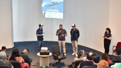 Cadeia de Turismo recebe capacitação sobre observação de baleias e golfinhos – Prefeitura Municipal de Niterói