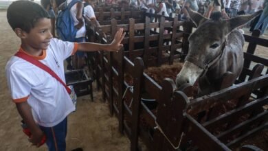 Dia Mundial do Meio Ambiente é celebrado com evento no Parque Rural de Niterói – Prefeitura Municipal de Niterói