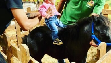 Prefeitura de Niterói promove atividades para a família no Parque Rural – Prefeitura Municipal de Niterói