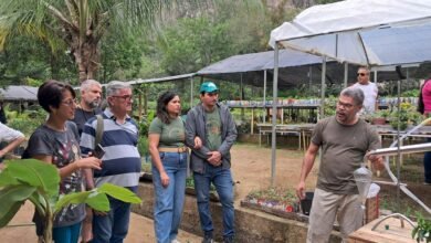 aliadas invisíveis no reflorestamento de Niterói – Prefeitura Municipal de Niterói