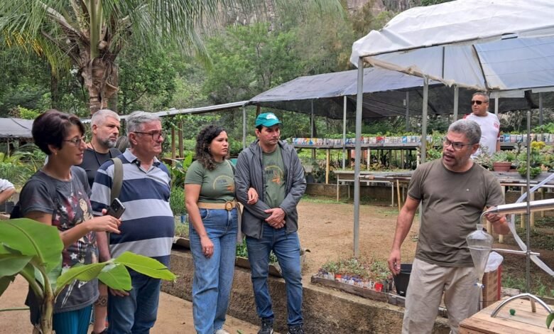 aliadas invisíveis no reflorestamento de Niterói – Prefeitura Municipal de Niterói