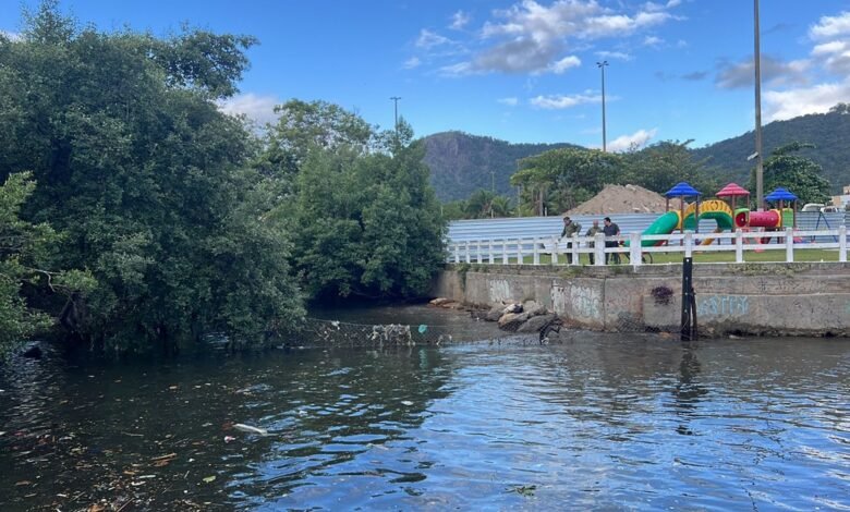Elefante-marinho volta à praia de São Francisco após ser liberado de ecobarreira no Canal – Prefeitura Municipal de Niterói