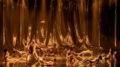 Niterói Semana de Dança 2025 apresenta espetáculos, oficinas e palestras para o Theatro Municipal – Prefeitura Municipal de Niterói