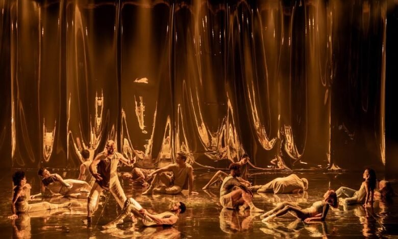 Niterói Semana de Dança 2025 apresenta espetáculos, oficinas e palestras para o Theatro Municipal – Prefeitura Municipal de Niterói
