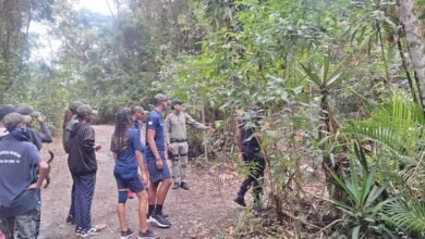 Guarda Ambiental de Niterói promove educação ecológica no Parque da Cidade – Prefeitura Municipal de Niterói