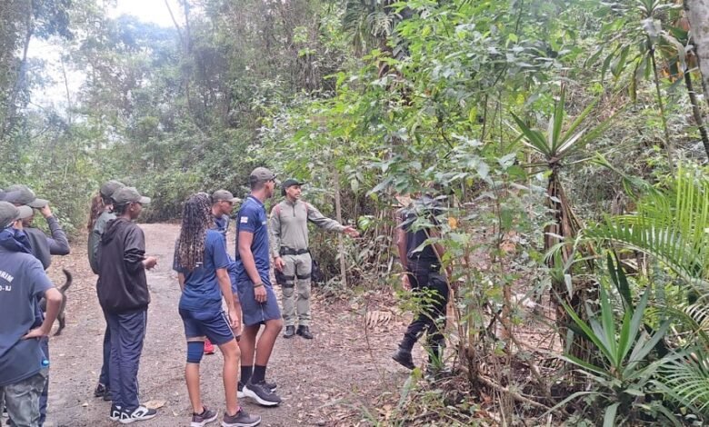 Guarda Ambiental de Niterói promove educação ecológica no Parque da Cidade – Prefeitura Municipal de Niterói