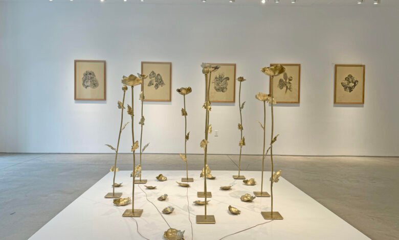 MAC vai inaugurar a exposição “Através do Véu Verde”, do artista argentino Edo Costantini, neste sábado (06)