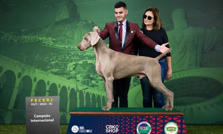 Parque Rural recebe exposição de cães de raça neste sábado (4) e domingo (5) – Prefeitura Municipal de Niterói