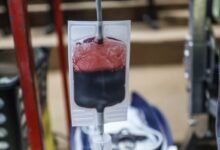 Prefeitura de Niterói e escolas de samba da cidade se unem em evento para incentivar doação de sangue – Prefeitura Municipal de Niterói