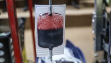 Prefeitura de Niterói e escolas de samba da cidade se unem em evento para incentivar doação de sangue – Prefeitura Municipal de Niterói