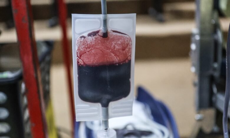 Prefeitura de Niterói e escolas de samba da cidade se unem em evento para incentivar doação de sangue – Prefeitura Municipal de Niterói