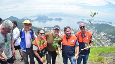 Prefeitura de Niterói faz reflorestamento do Morro Santo Inácio com o plantio de 600 mudas da Mata Atlântica – Prefeitura Municipal de Niterói
