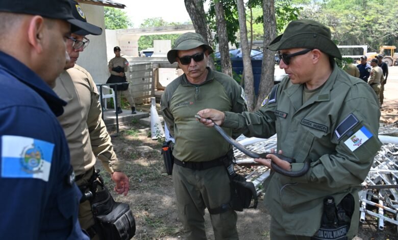 Prefeitura reforça patrulhamento com 80 novos guardas municipais a partir do dia 17 – Prefeitura Municipal de Niterói