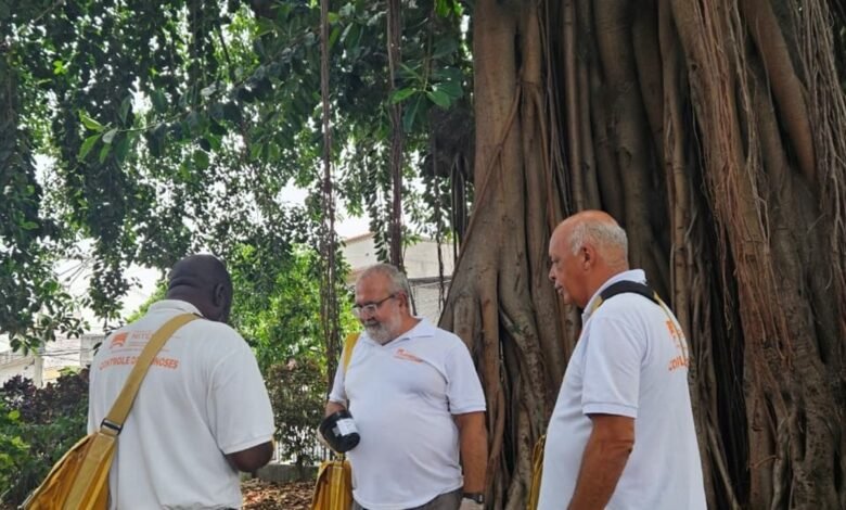 Niterói intensifica ações contra a dengue e reforça estratégia de prevenção no verão – Prefeitura Municipal de Niterói