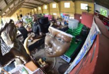 Prefeitura investe em formação e sustentabilidade no carnaval – Prefeitura Municipal de Niterói