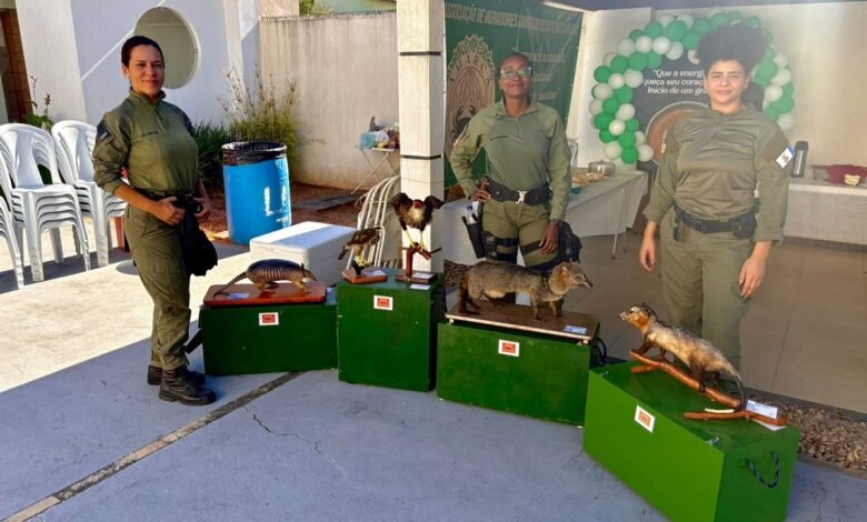 Guarda Civil Ambiental de Niterói promove atividades de conscientização na Região Oceânica – Prefeitura Municipal de Niterói