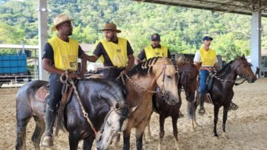 Parque Rural de Niterói recebe a 1º Expo Especializada do Mangalarga Marchador – Prefeitura Municipal de Niterói