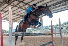 Parque Rural de Niterói recebe campeonato hípico com provas de salto e entrada gratuita – Prefeitura Municipal de Niterói