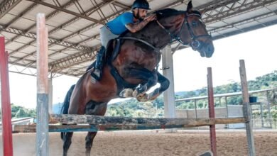 Parque Rural de Niterói recebe campeonato hípico com provas de salto e entrada gratuita – Prefeitura Municipal de Niterói