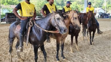 Parque Rural de Niterói recebe campeonato hípico com provas de salto e entrada gratuita – Prefeitura Municipal de Niterói