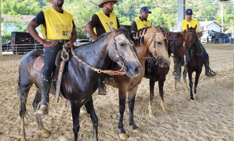Parque Rural de Niterói recebe campeonato hípico com provas de salto e entrada gratuita – Prefeitura Municipal de Niterói