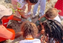 Prefeitura de Niterói realiza ação de recuperação ambiental no Parque Natural Municipal Morro do Morcego – Prefeitura Municipal de Niterói