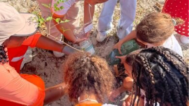 Prefeitura de Niterói realiza ação de recuperação ambiental no Parque Natural Municipal Morro do Morcego – Prefeitura Municipal de Niterói