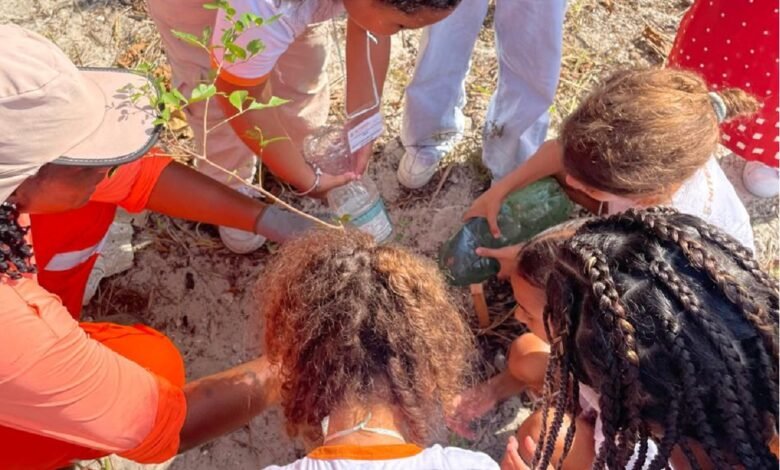 Prefeitura de Niterói realiza ação de recuperação ambiental no Parque Natural Municipal Morro do Morcego – Prefeitura Municipal de Niterói