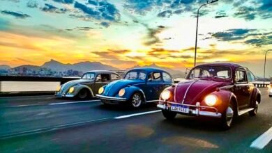 Dia Mundial do Fusca será comemorado no Horto do Barreto com solidariedade, música e exposição de veículos – Prefeitura Municipal de Niterói