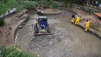 Equipes da Prefeitura começam a limpeza dos lagos do Campo de São Bento – Prefeitura Municipal de Niterói