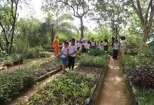 Niterói abre Semana do Meio Ambiente com ações em escolas, mutirões e sustentabilidade – Prefeitura Municipal de Niterói
