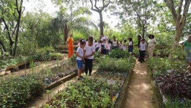 Niterói abre Semana do Meio Ambiente com ações em escolas, mutirões e sustentabilidade – Prefeitura Municipal de Niterói