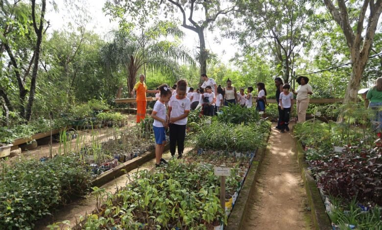 Niterói abre Semana do Meio Ambiente com ações em escolas, mutirões e sustentabilidade – Prefeitura Municipal de Niterói