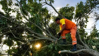 Clin mobiliza 600 colaboradores para desobstrução de vias e limpeza após forte rajada de vento em Niterói – Prefeitura Municipal de Niterói