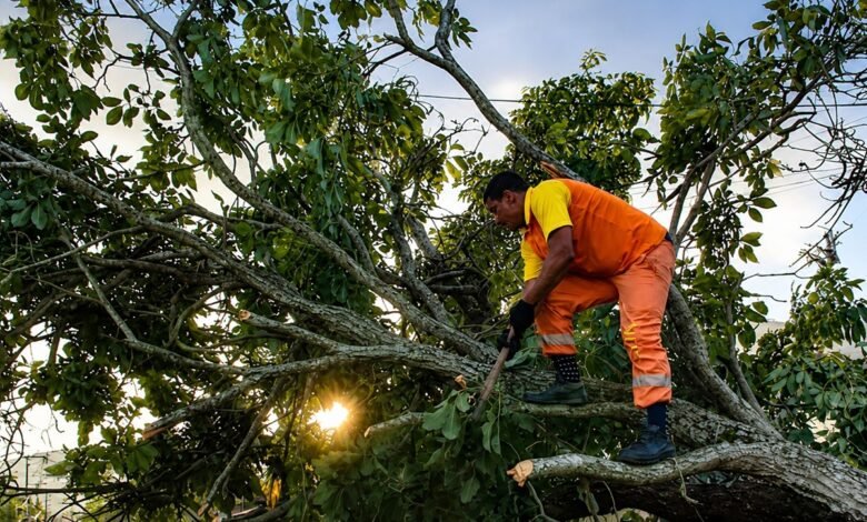 Clin mobiliza 600 colaboradores para desobstrução de vias e limpeza após forte rajada de vento em Niterói – Prefeitura Municipal de Niterói