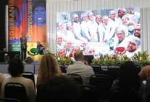 Niterói é referência no uso do método Wolbachia contra a dengue – Prefeitura Municipal de Niterói