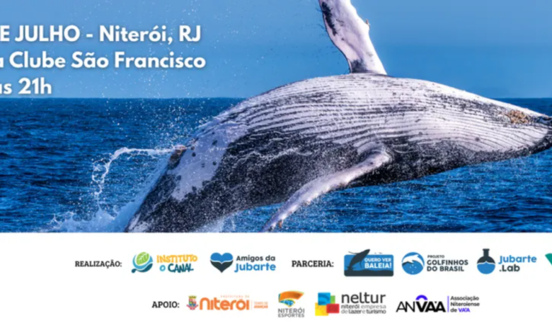 Niterói promove capacitação gratuita sobre interação responsável com baleias e golfinhos na Baía de Guanabara