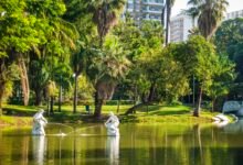 Prefeitura de Niterói promove Arraiá Inclusivo no dia 26 de julho, no Campo de São Bento – Prefeitura Municipal de Niterói