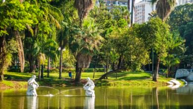 Prefeitura de Niterói promove Arraiá Inclusivo no dia 26 de julho, no Campo de São Bento – Prefeitura Municipal de Niterói